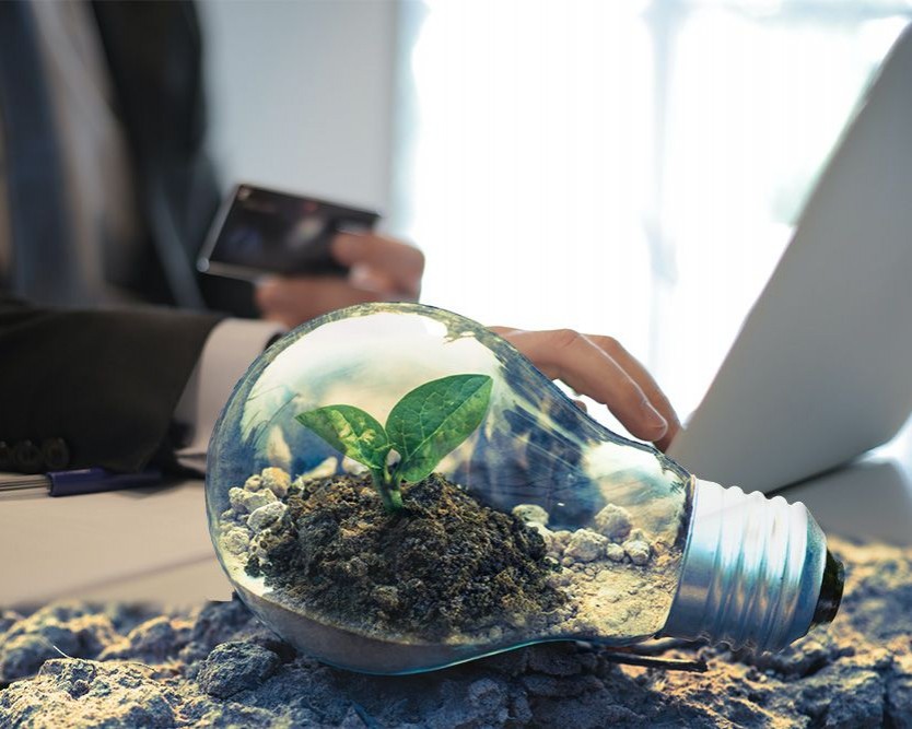 E-commerce et démarche écoresponsable : vers la création de colis réutilisables